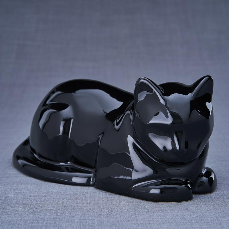 Cheap cat urns best sale