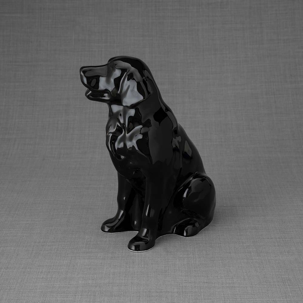 Golden Retriever Pet Urn for Ashes in Glossy Black Back Left