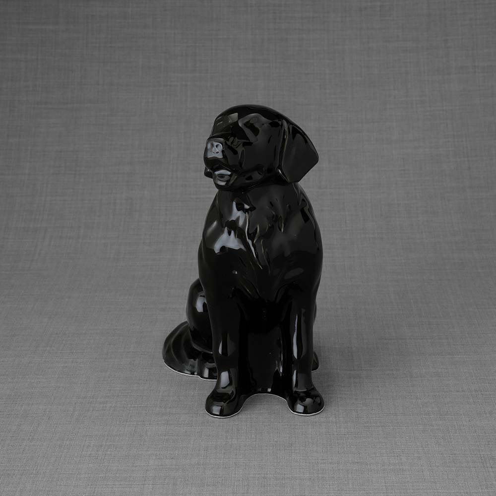 Golden Retriever Pet Urn for Ashes in Glossy Black Front