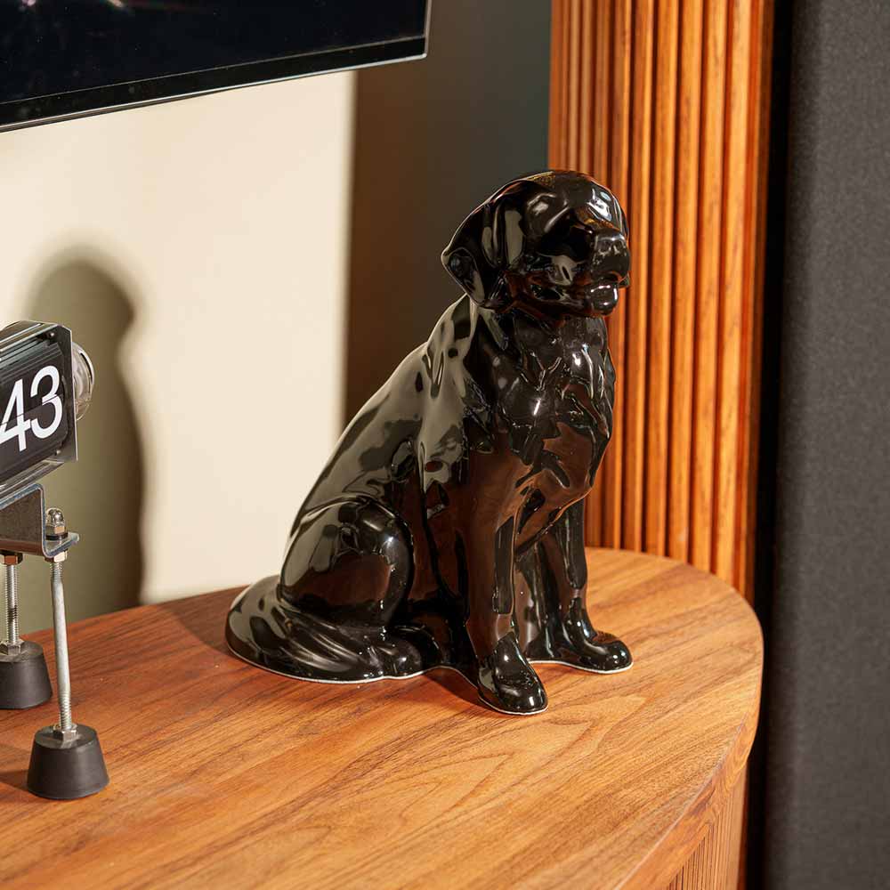 Golden Retriever Pet Urn for Ashes in Glossy Black on Table Facing Forward