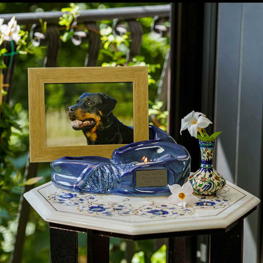 Picture Frame Pet Urn for Ashes in Blue Urns For Angels