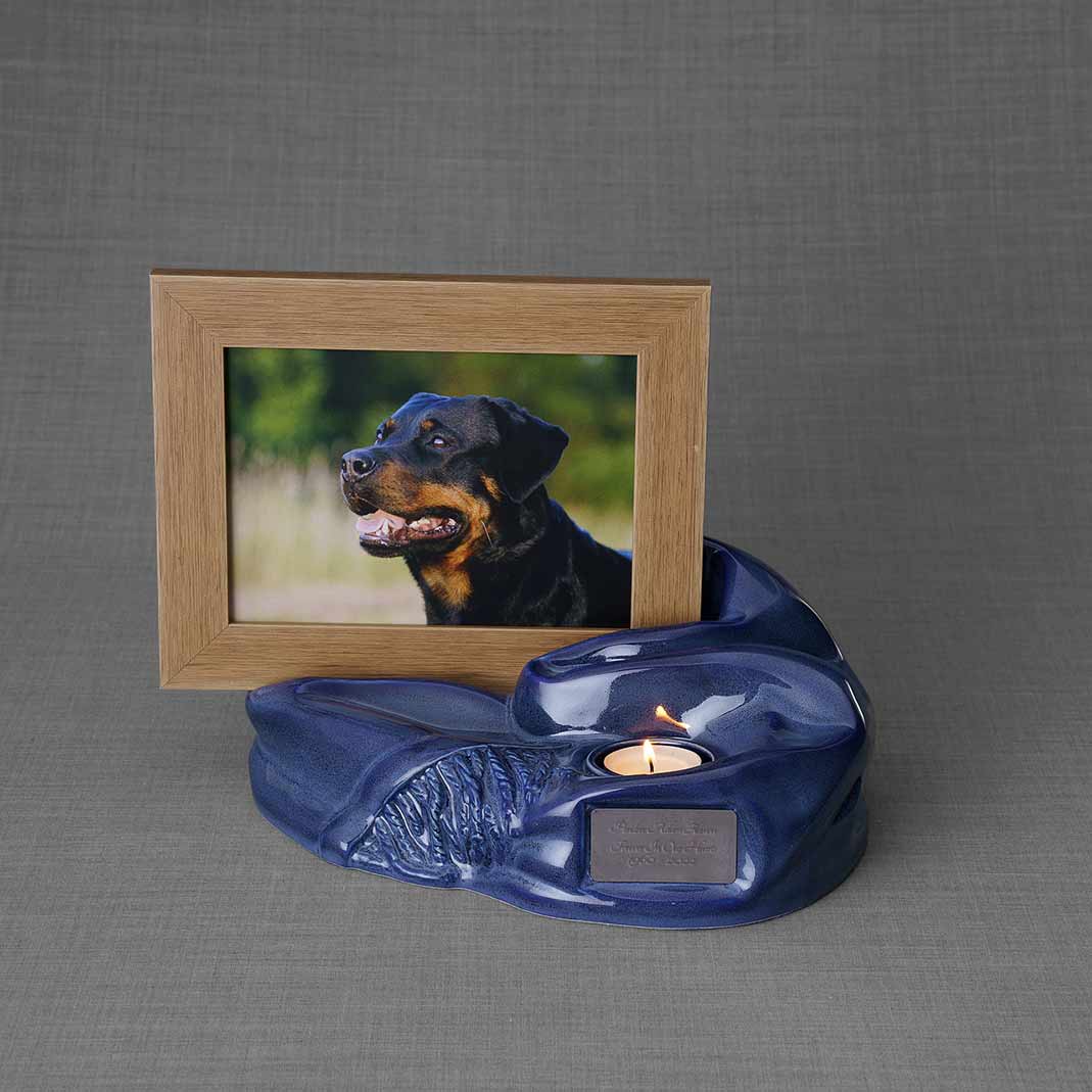 Picture Frame Pet Urn for Ashes in Blue Urns For Angels