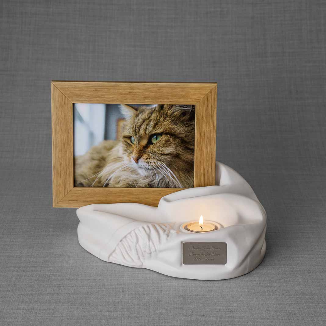 Pet urns hotsell for cats