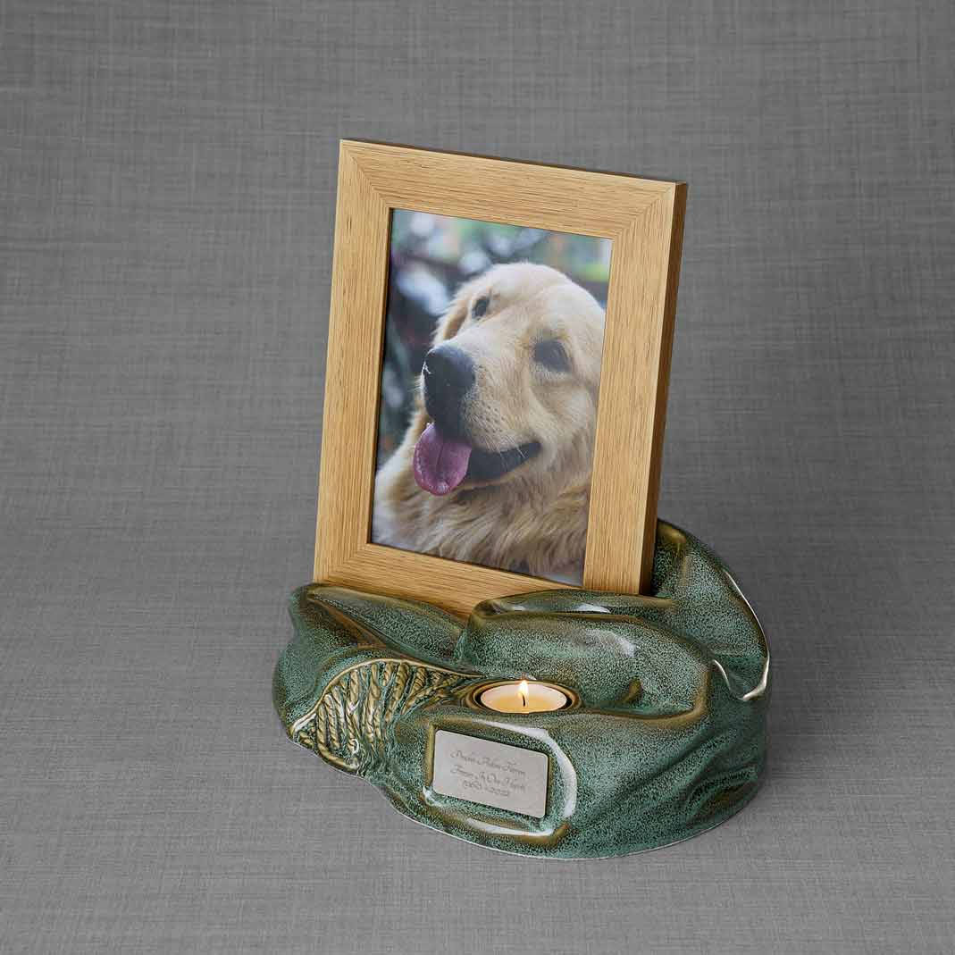 Pet ashes photo frame hotsell