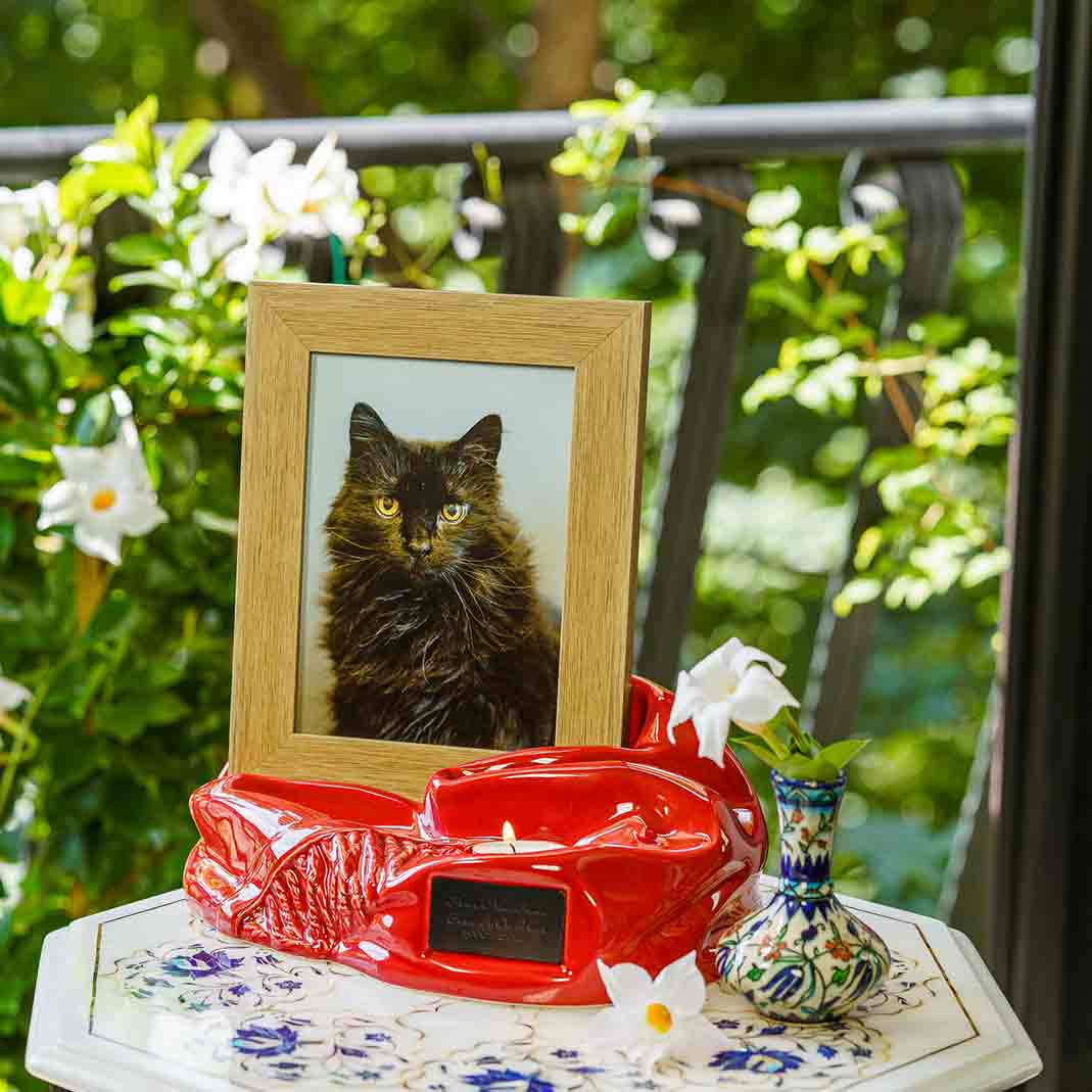 Small Keepsake Urn. good Keepsake Urn. Pet Urn. Holds up to 25 lbs live weight in Ashes. Cat urn. Pet Casket. Pet Memorial.