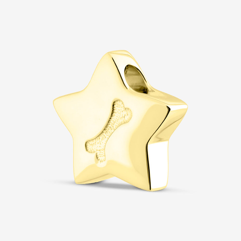 Self fill Dog Bone Star Memorial Ashes Pendant in Gold