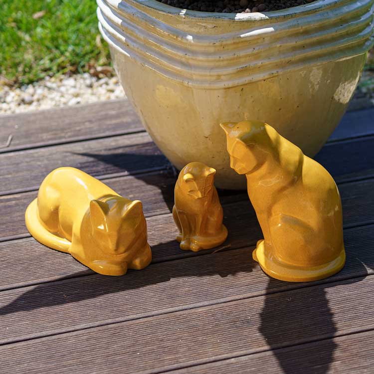amber cat urns outside near plant pot top angle sunshine