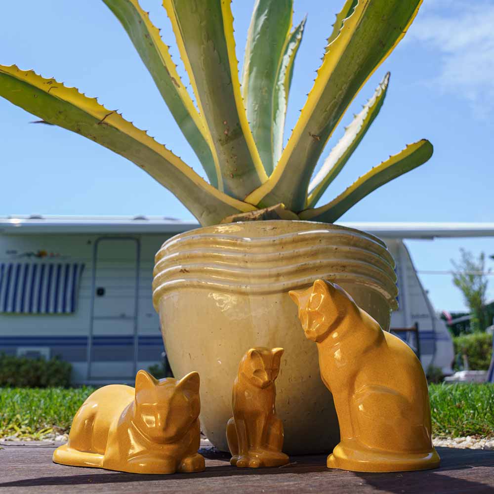 amber cat urns outside next to plant pot sunshine