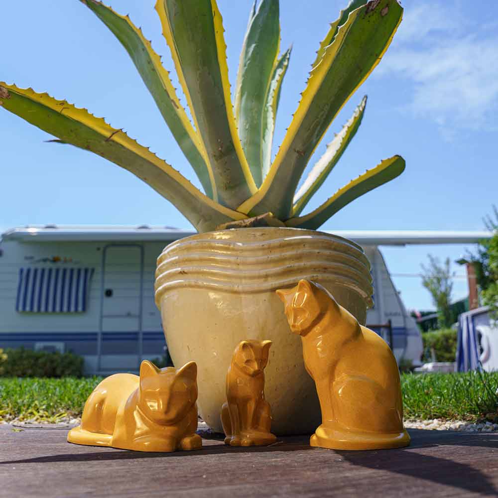 cat urns for ashes amber outside sunshine