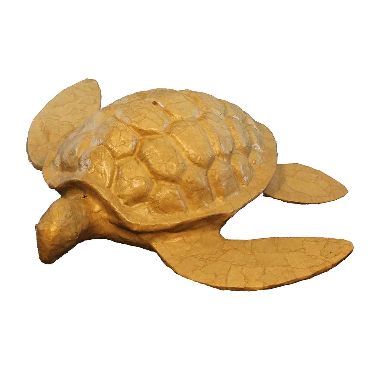 Turtle Biodegradable Water Urn for Ashes - Adult | Urns For Angels